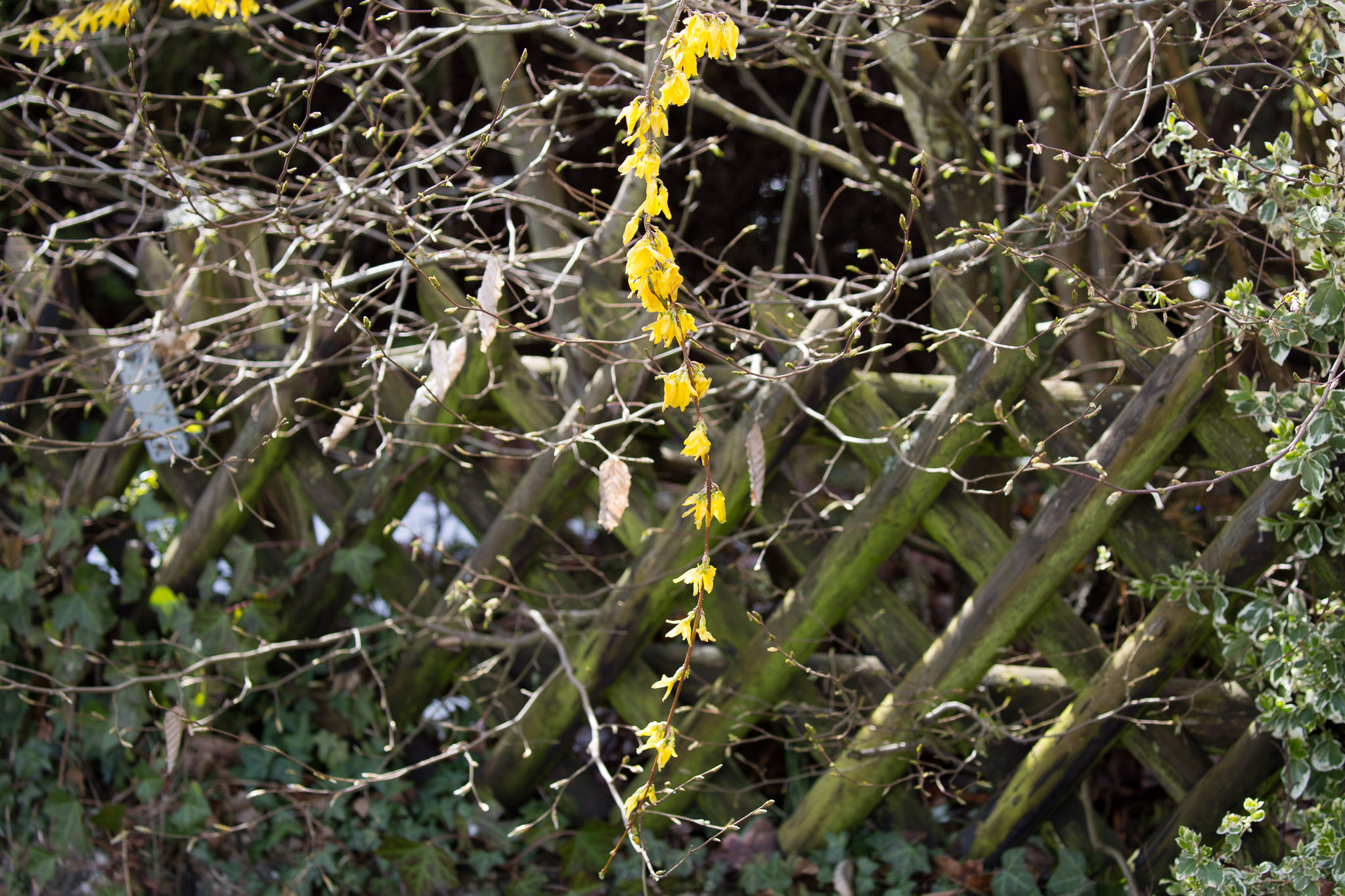 20220409142651 3K6A1899